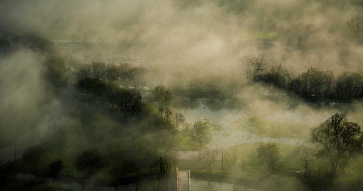 The Science of Hypertrophy: Rethinking the Blueprint for Bigger Arms