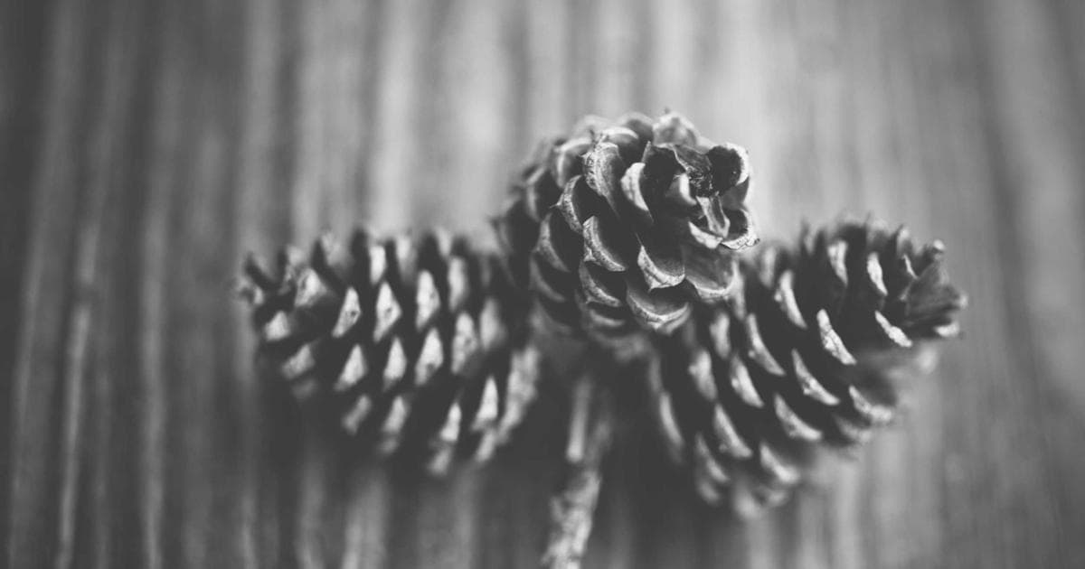 The Cost of Prestige: Inside the Blockbuster Budget of Best Picture Frontrunner ‘Hamnet’