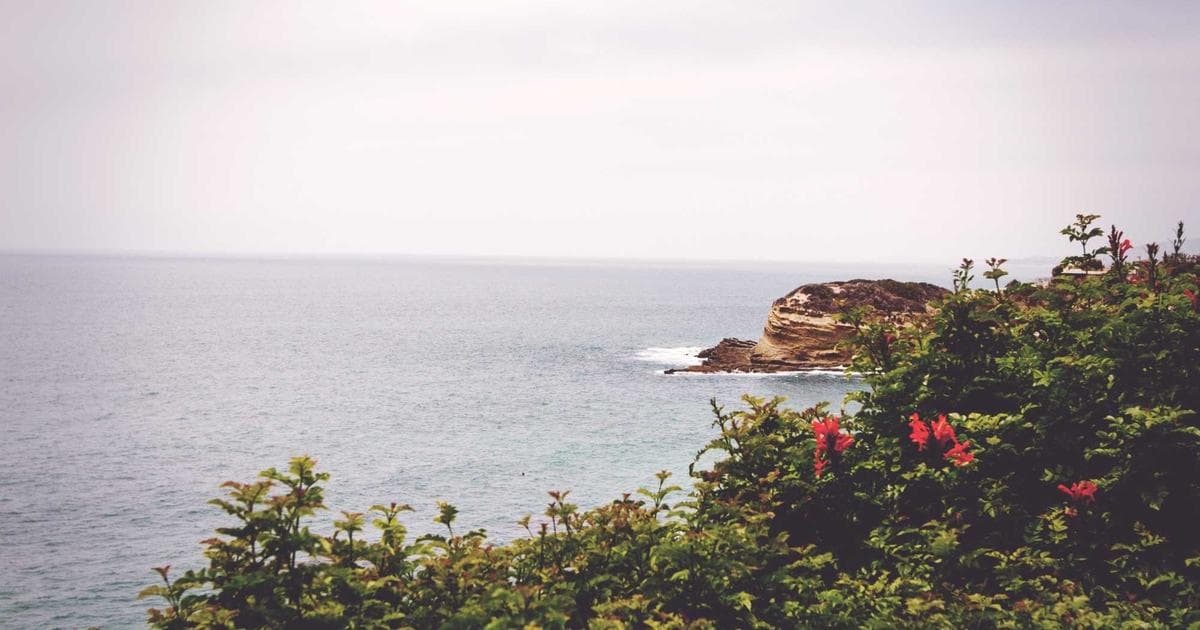 Financial Sector Technical Breakdown Signals Potential End to S&P 500 Rally