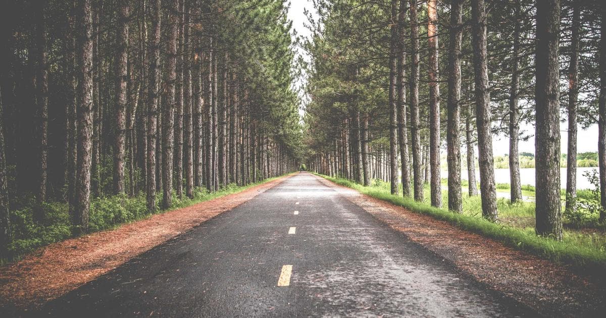 Arkansas Claims First SEC Tournament Title Since 2000 Behind Darius Acuff Jr.’s 30-Point Performance