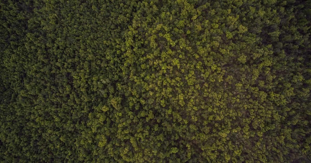 The Buffett Warning: Why a $373 Billion Cash Pile Looms Over a Volatile Week for Markets