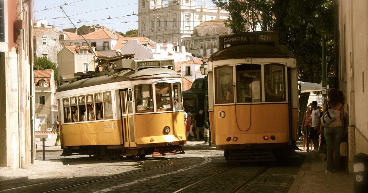 The Algorithm of Selection Sunday: Decoding the Metrics Driving March Madness 2026