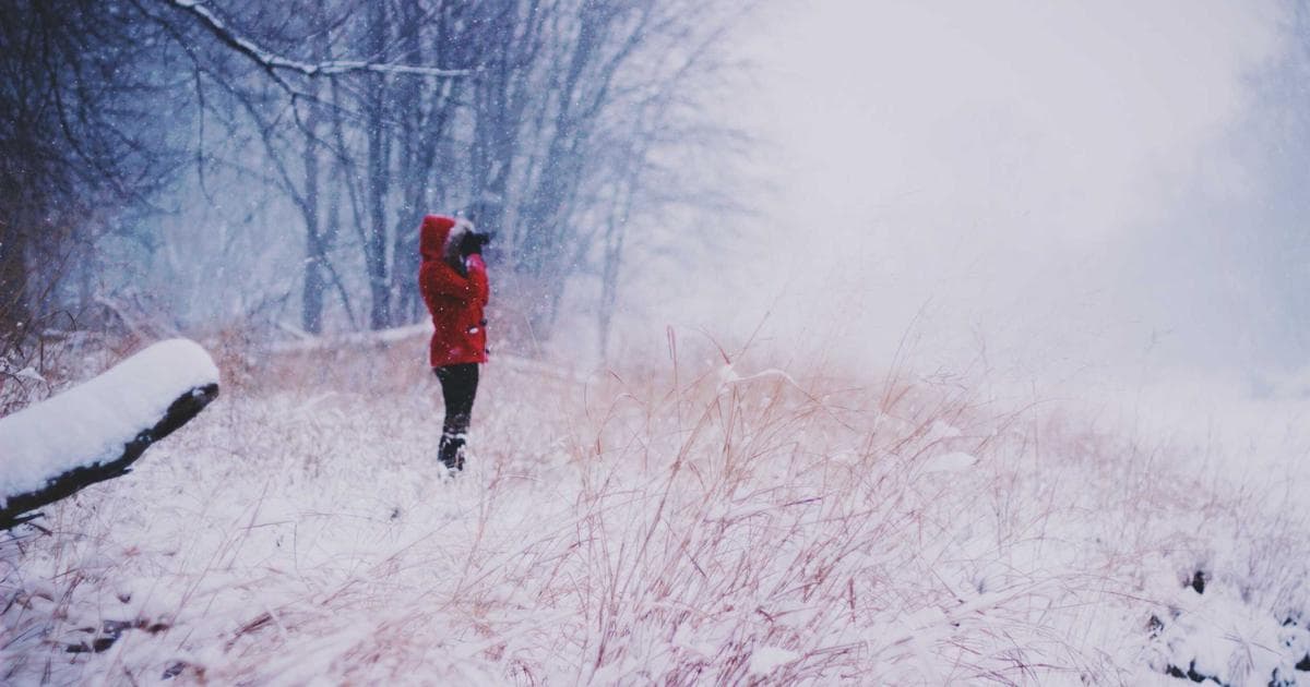 Apple Smart Home Lineup Faces Major Delay Amid Persistent Siri Development Bugs