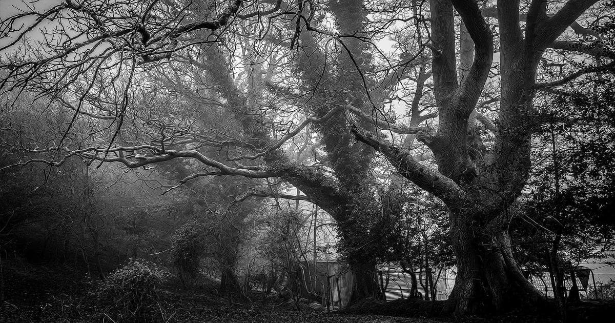 Emergency Zero-Visibility Protocols: Analyzing the 'Extreme Danger' Advisory in Northeast Wisconsin