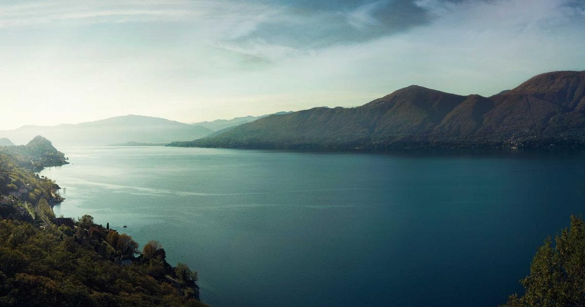 Why Diego Luna's Kiss of the Spider Woman is the Essential Post-Andor Watch