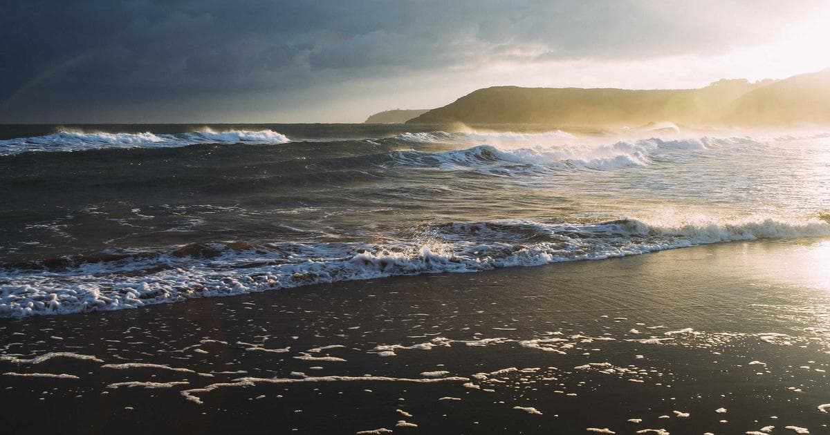 The Pressure Paradox: How the Deepest Ocean Trenches Are Feeding Life