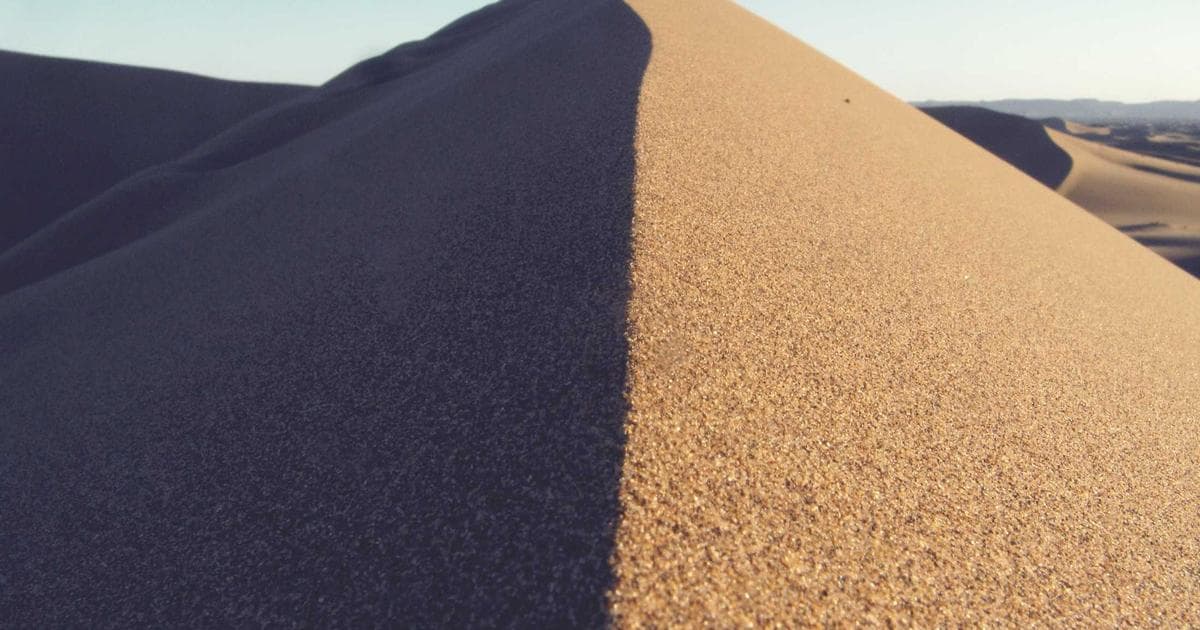 Amy Madigan Breaks 40-Year Record as Oscars 2026 Crowns First-Ever Best Casting Winner