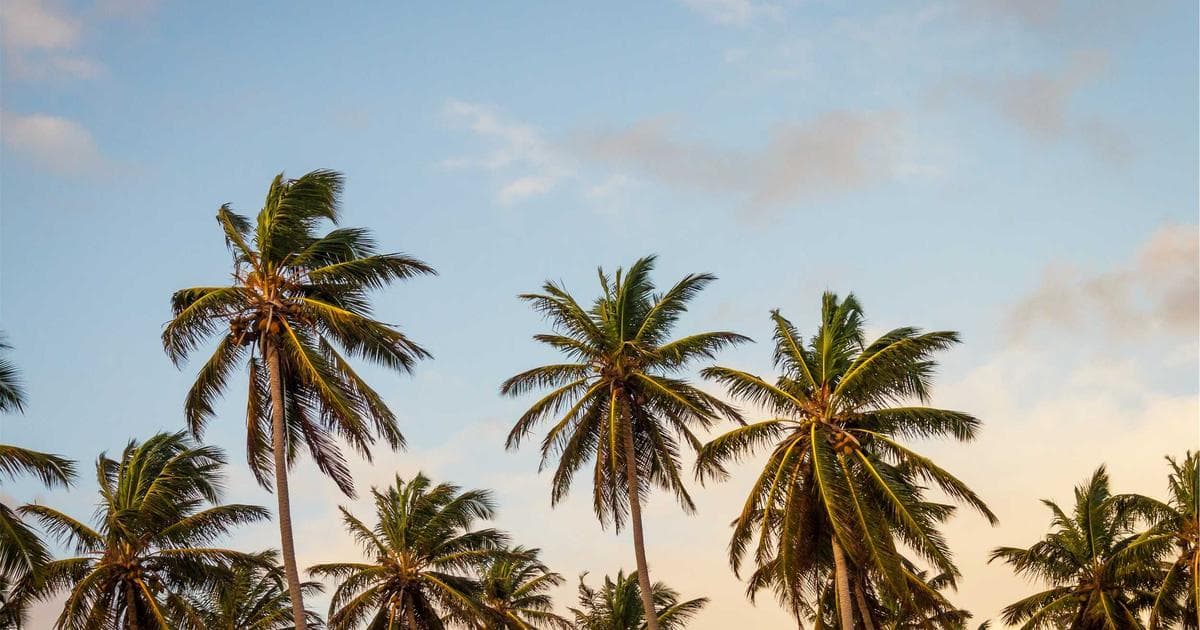 Beyond the Banks: Evaluating the PFXF Strategy for Preferred Stock Investing in 2026