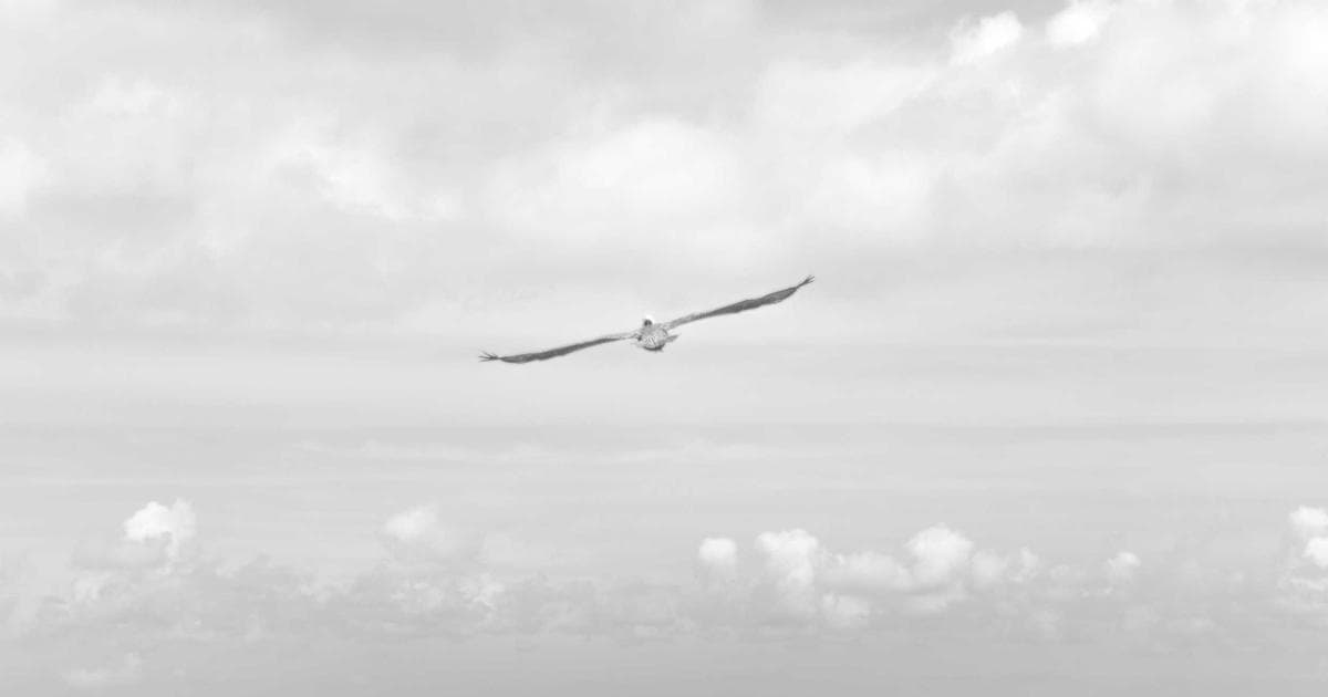 Decentralized Power: Australia’s Solar and Battery Revolution Transforms the Business Landscape