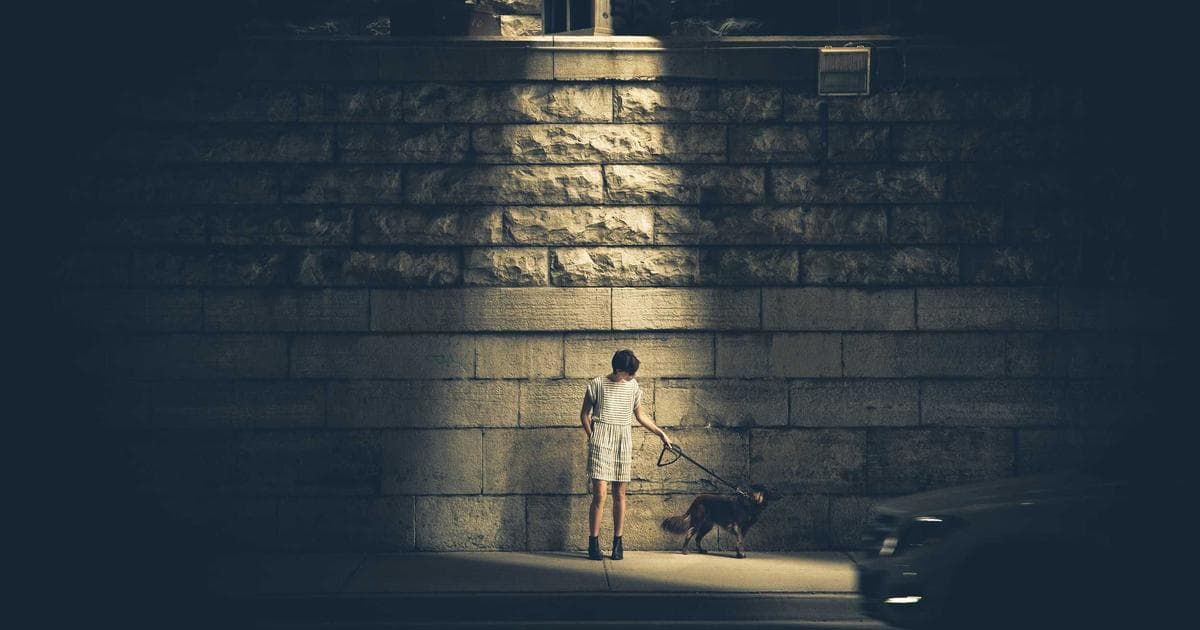 Automated Advocacy: How New Digital Tools Are Revolutionizing Flight Refund Recovery