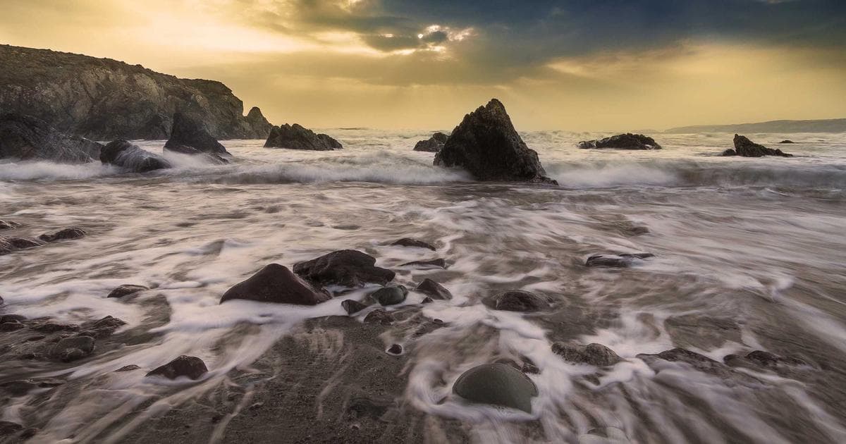 MTSU Women’s Basketball Secures WNIT Bid as Rick Insell Eyes Deep Postseason Run