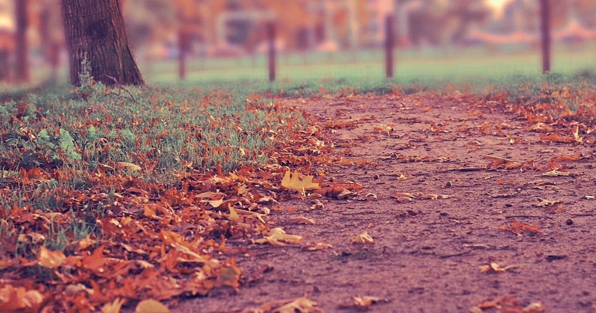 Beyond the Single Vault: Why Hybrid Password Management is Winning in 2026