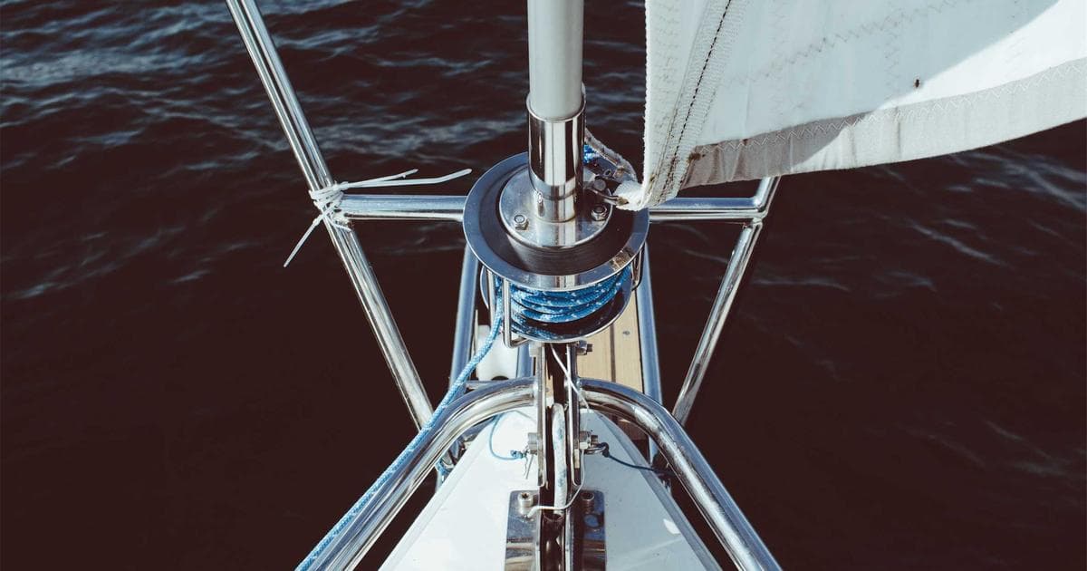 Avian Nutrients: How Seabird Guano Could Save Barrier Islands from Rising Seas