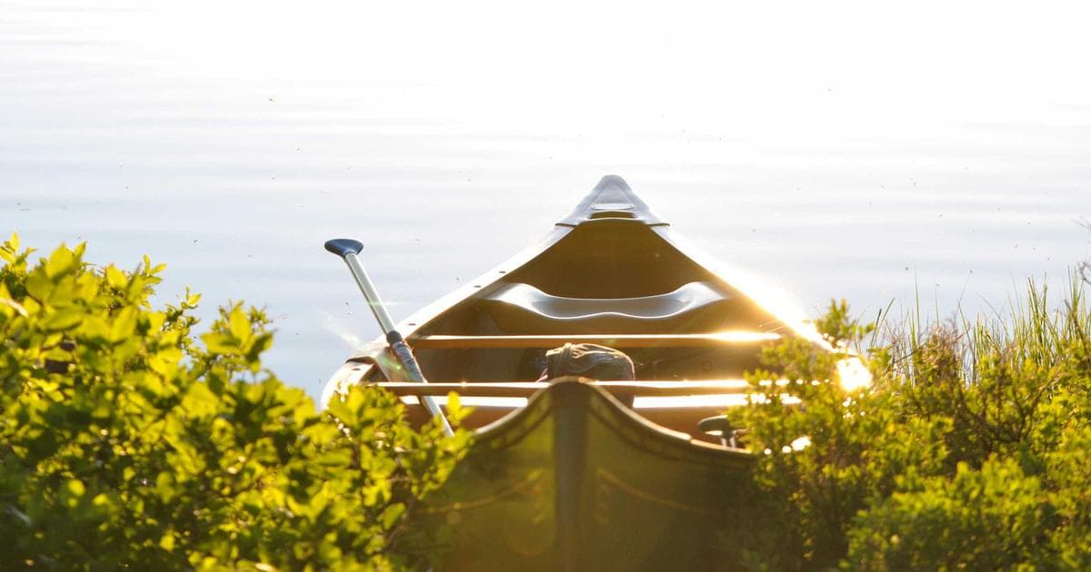 Social Media Reacts: The Most Viral Moments and Memes from the 2026 Oscars