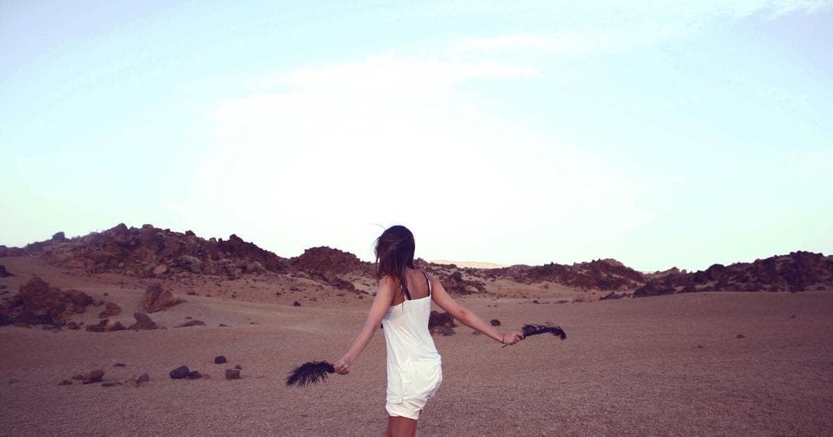 High-Amenity Escapes: The Rise of the Destination Rental in American Travel