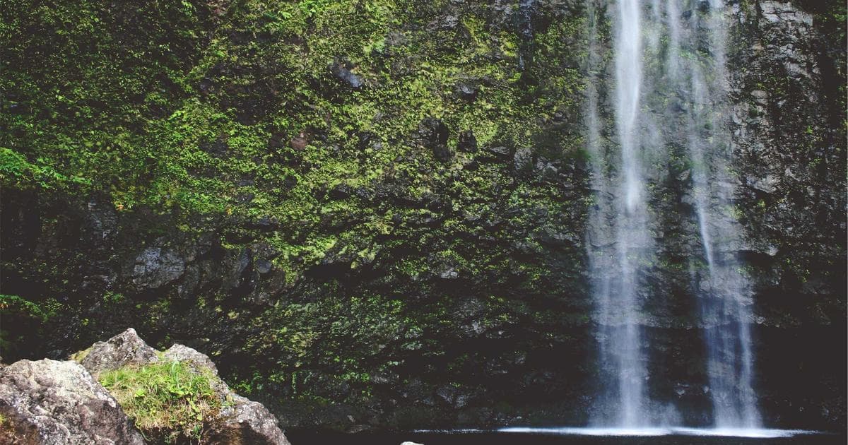 David Protein CEO Peter Rahal Challenges ‘Inaccurate’ Science in Nutrition Label Lawsuit