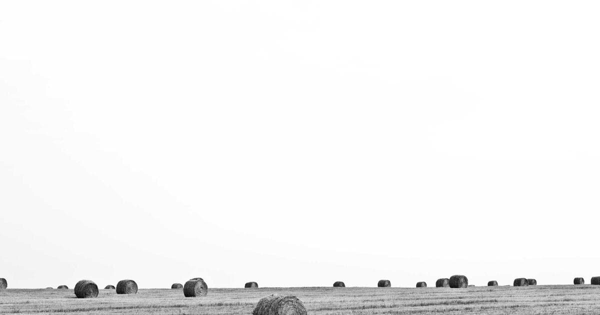 Study Finds One-Off £2,000 Grant Dramatically Reduces Homelessness Risks for Care Leavers