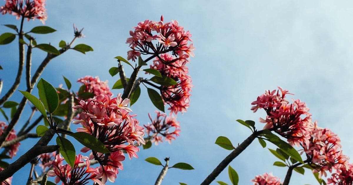 China Economic Rebound Surprises Markets Amid Escalating Global Conflict Risks