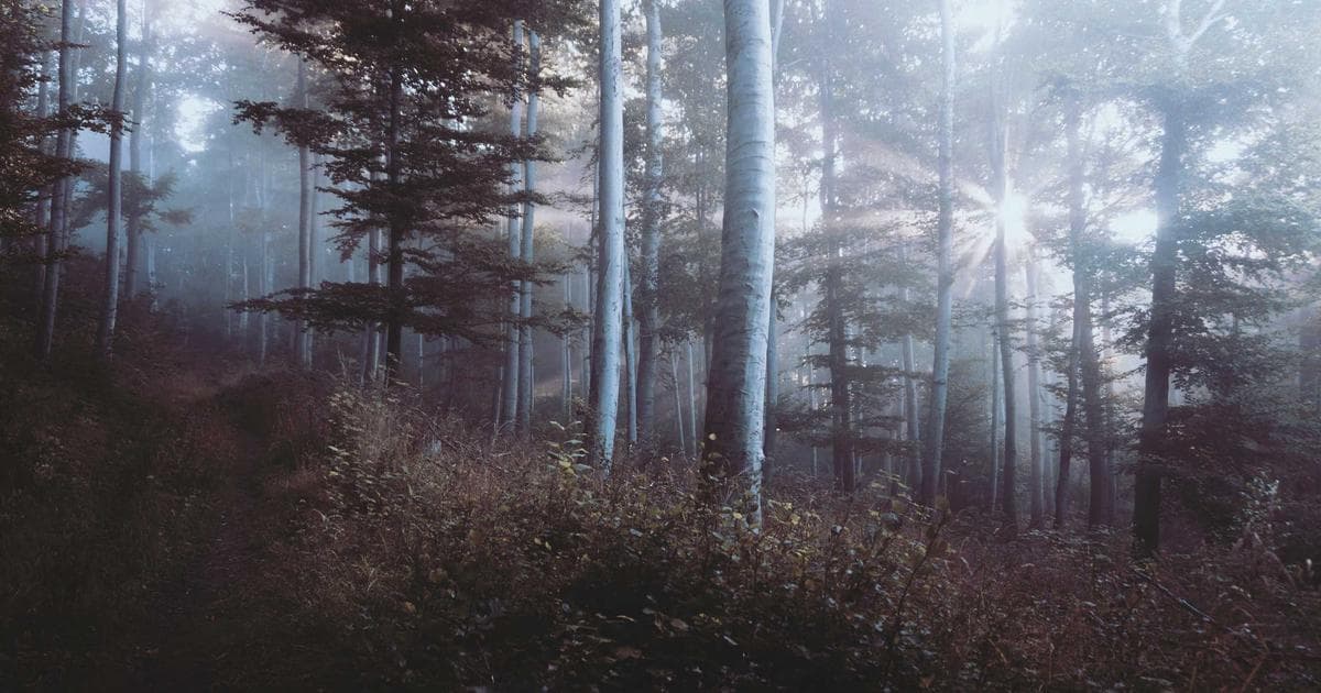 Michael B. Jordan Secures First Best Actor Oscar for 'Sinners'