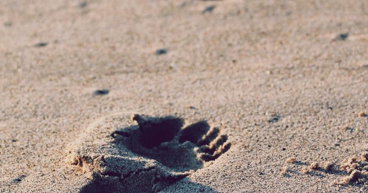 The Great Philanthropic Schism: Why Tech’s New Elite is Abandoning the Giving Pledge