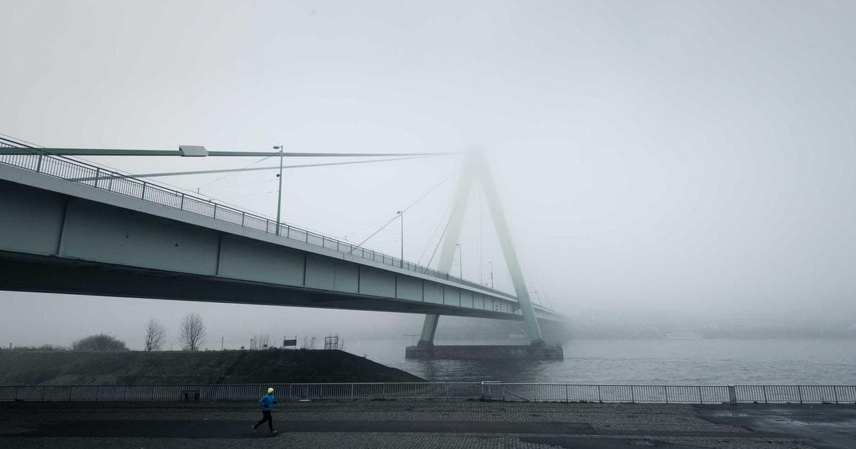 Biological Fortification: How Intelectin-2 Reshapes Our Understanding of Gut Immunity