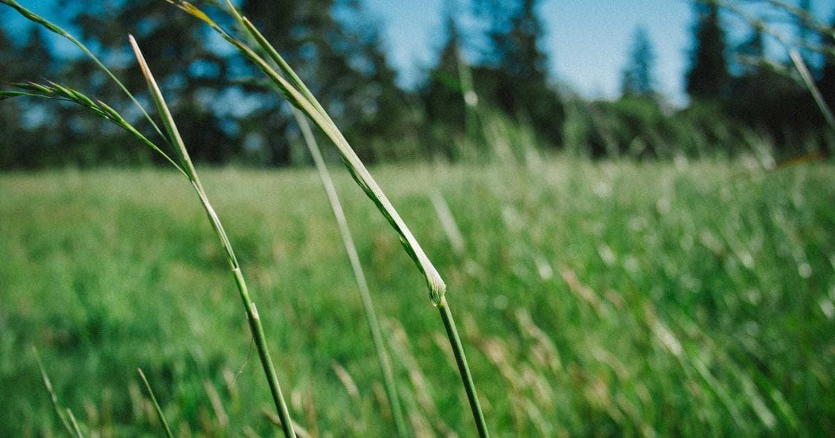 UniCredit Increases Commerzbank Stake to 30% as Takeover Prospects Loom