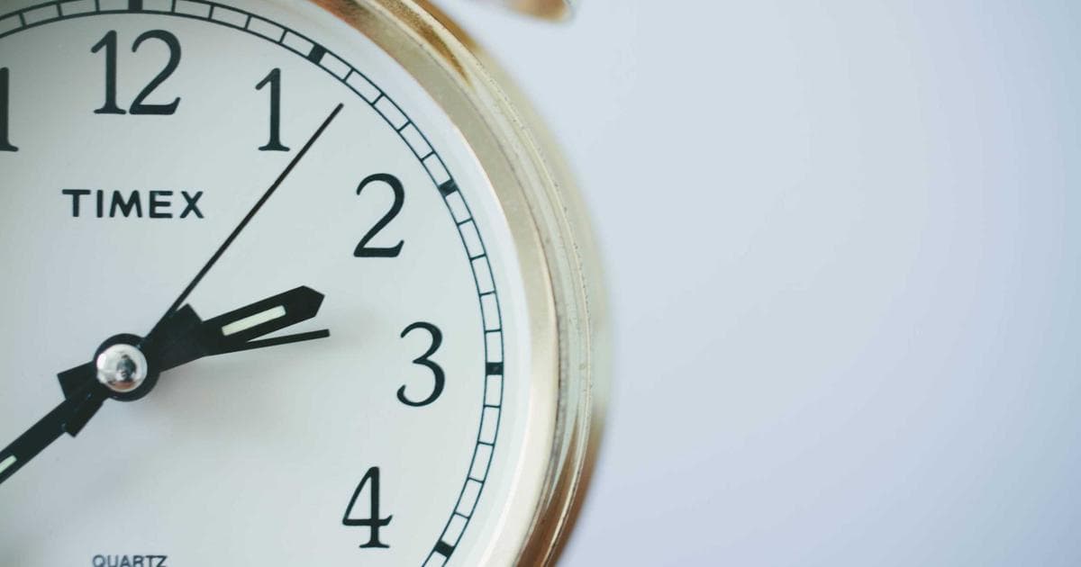 Bedbug Infestations Surge Across Southern United States: A Growing Crisis for Travelers