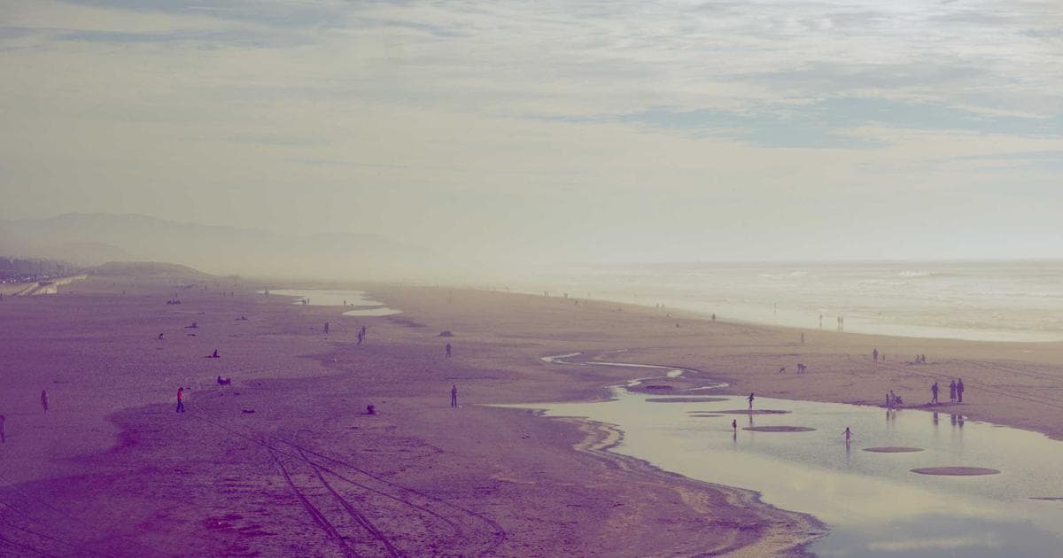 Nathan’s Famous: The History of Major League Baseball’s Only Official Hot Dog