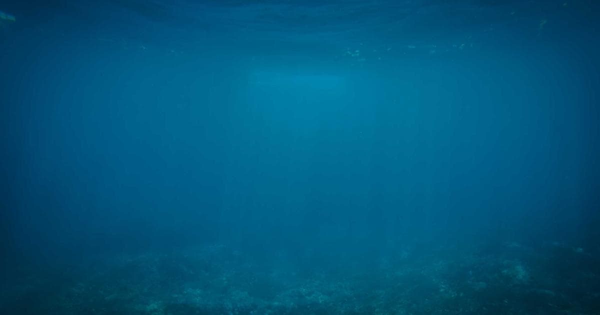 PhonePe Pauses India IPO as Geopolitical Tensions Stifle Global Market Activity