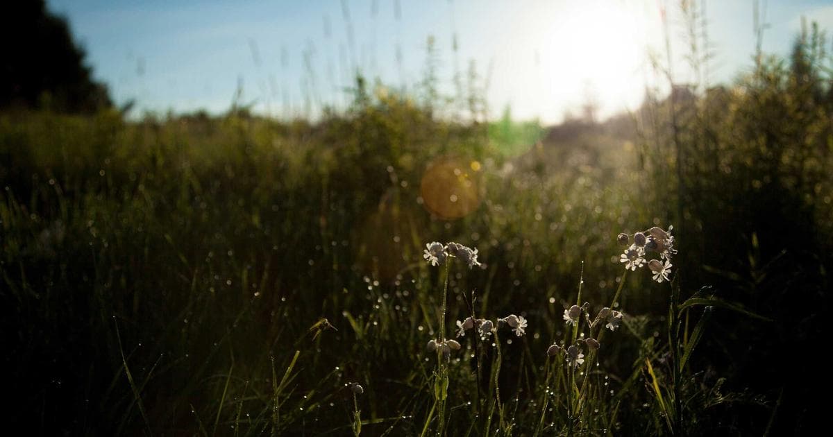 Rising Energy and Fertiliser Costs Threaten Agricultural Stability Amid Regional Conflict