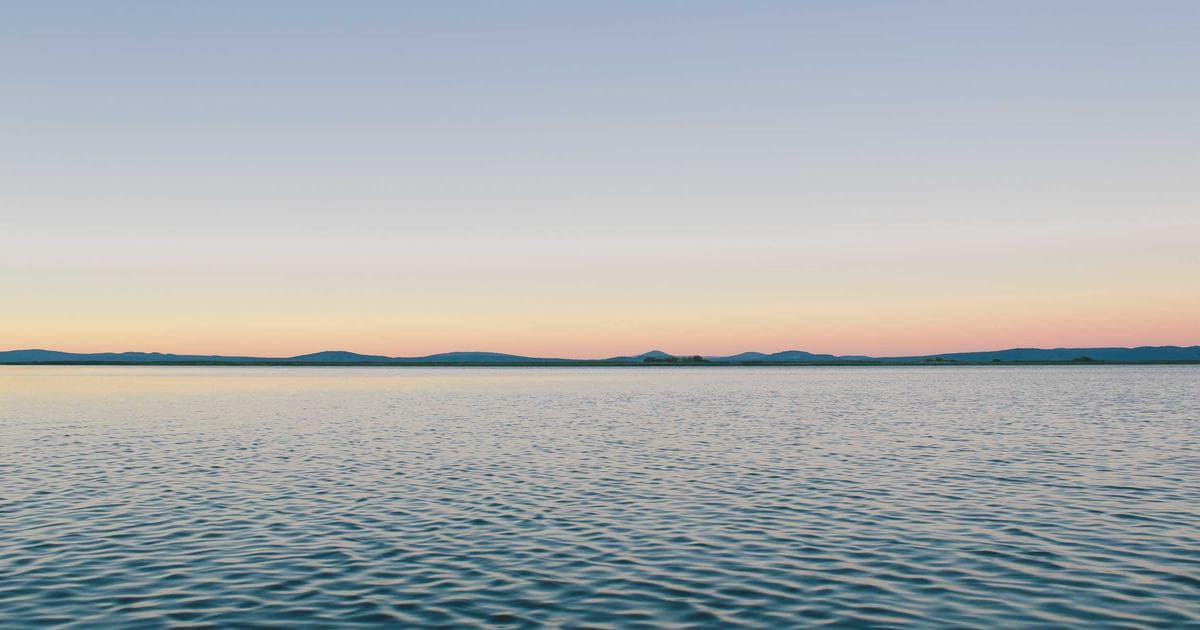 Molecular Alchemy: Converting Plastic Waste into Parkinson’s Medication