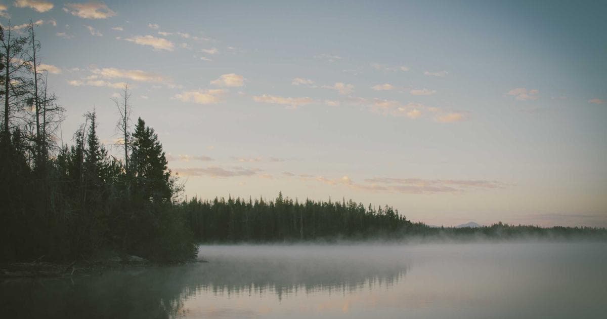 The COBOL Crisis: Why the 'Asbestos' of Software Still Haunts Global Infrastructure