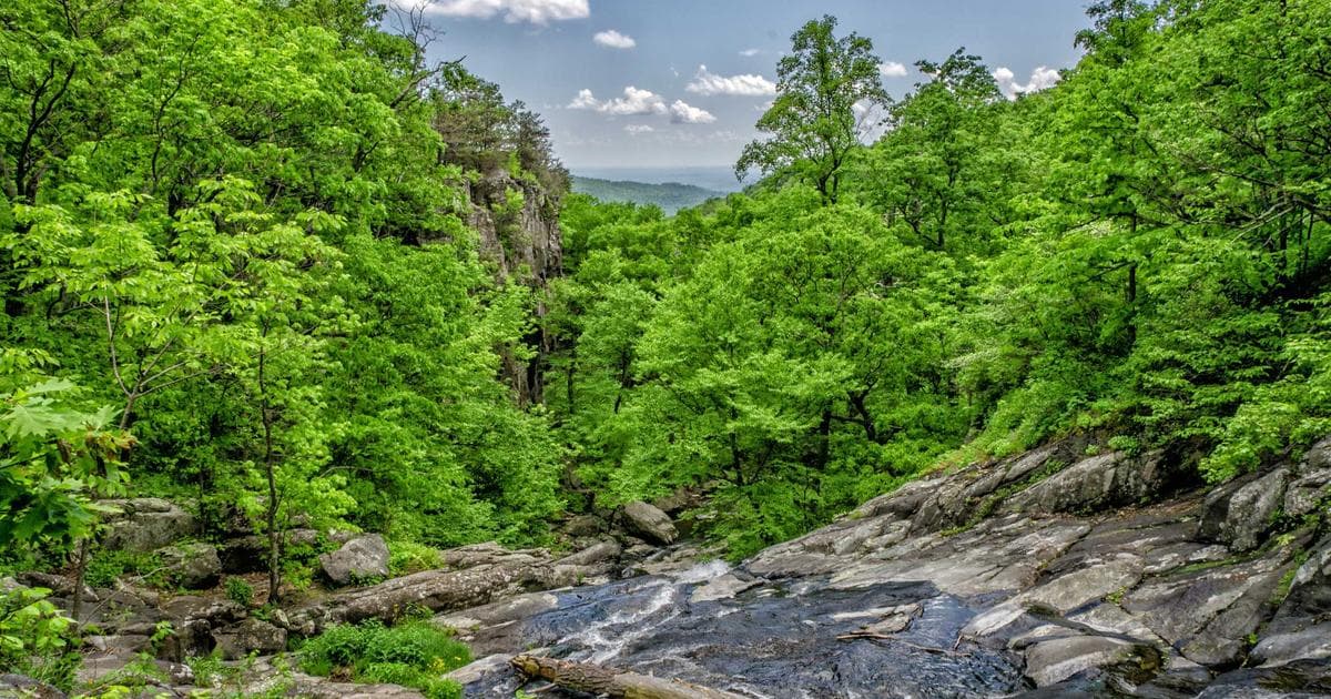 Deep Canvassing and the 30% Threshold: The Democratic Strategy to Rebuild a Fractured Base