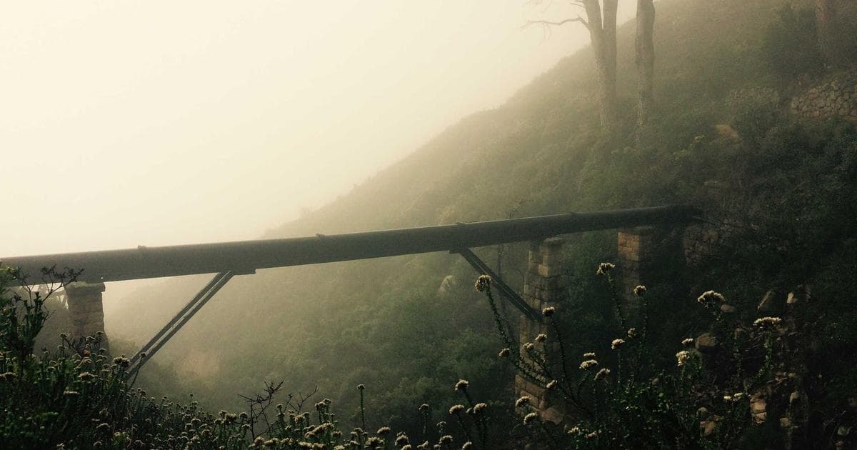 Gathering Instead of Conquering: How Ursula K. Le Guin’s Philosophy is Reshaping Documentary Cinema