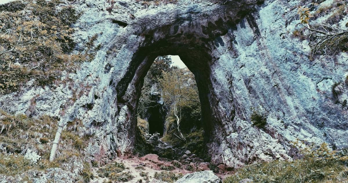 Interstellar Havens: How Rogue Planet Moons Could Sustain Life Without a Sun