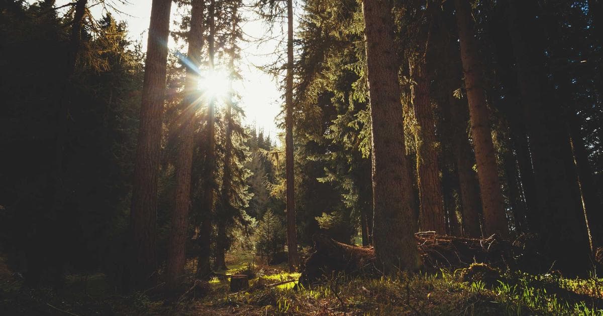 Michael Sheen to Succeed Richard Osman as Host of BBC’s House of Games