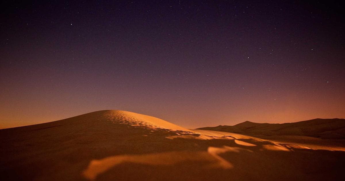 Heritage Meets the Rodeo: Inside the Bode x Levi’s Denim Collaboration