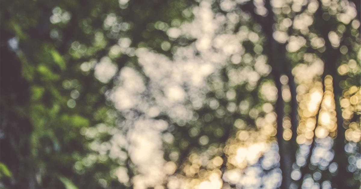 Nike Unveils 2026 USMNT World Cup Kits as Tournament Fever Hits North America