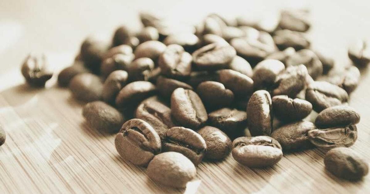 Beyond the Bubble: Decoding the History and Craft of Cava and Prosecco