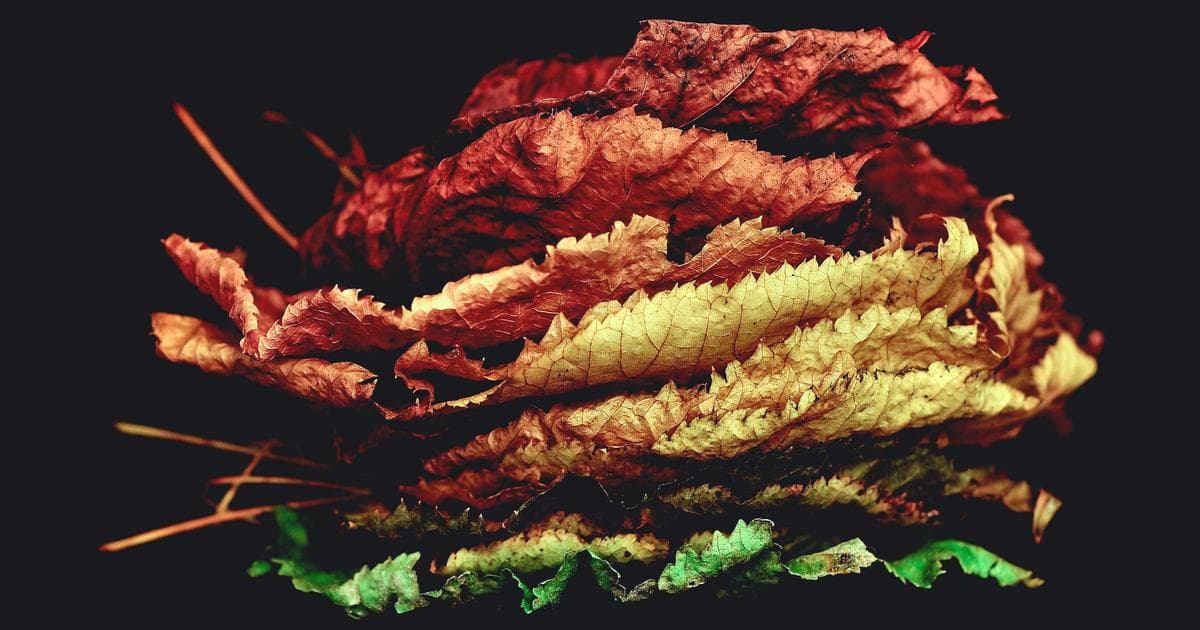 2026 NCAA Tournament Field Set: First Four Tips Off in Dayton as Bracket Madness Begins