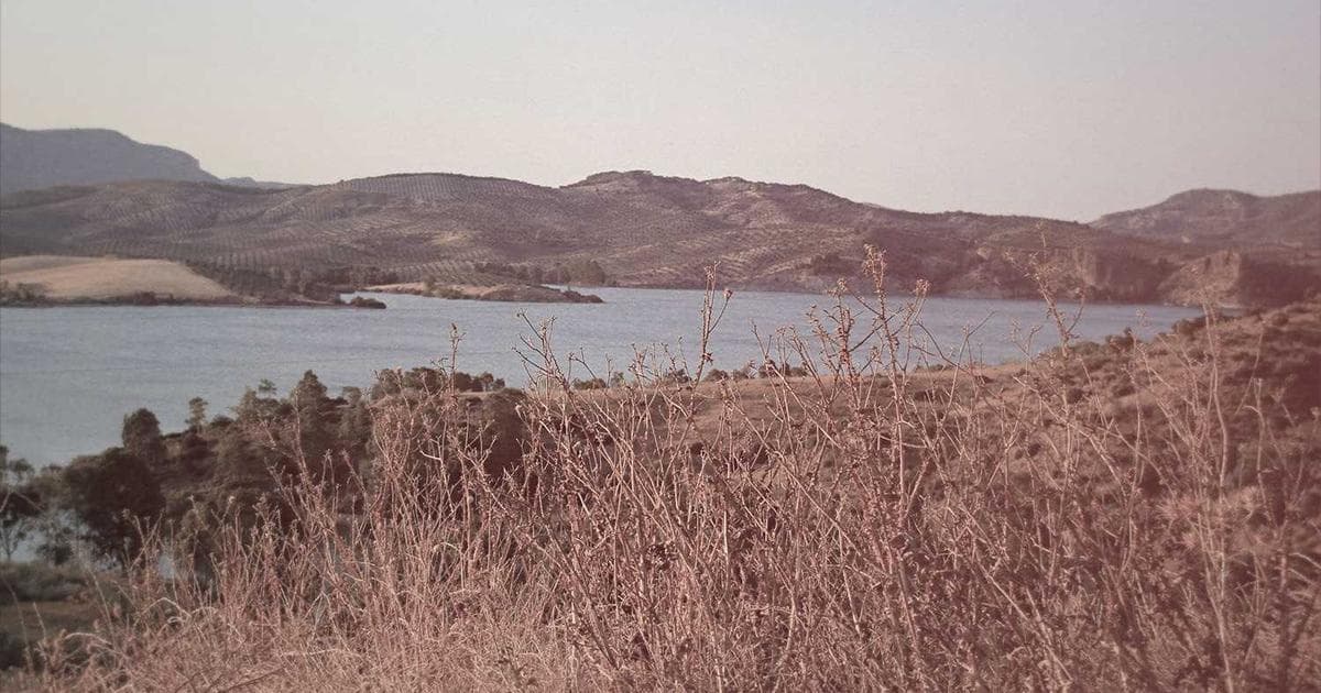 A Window Into the Silent Deep: 1949 Humpback Whale Recording Reveals an Ocean Ten Times Quieter