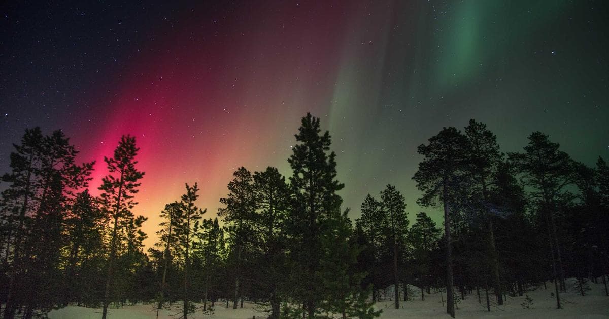 The Slow-Cooked Revolution: Why Onion Confit is Replacing Caramelized Onions in the Modern Kitchen