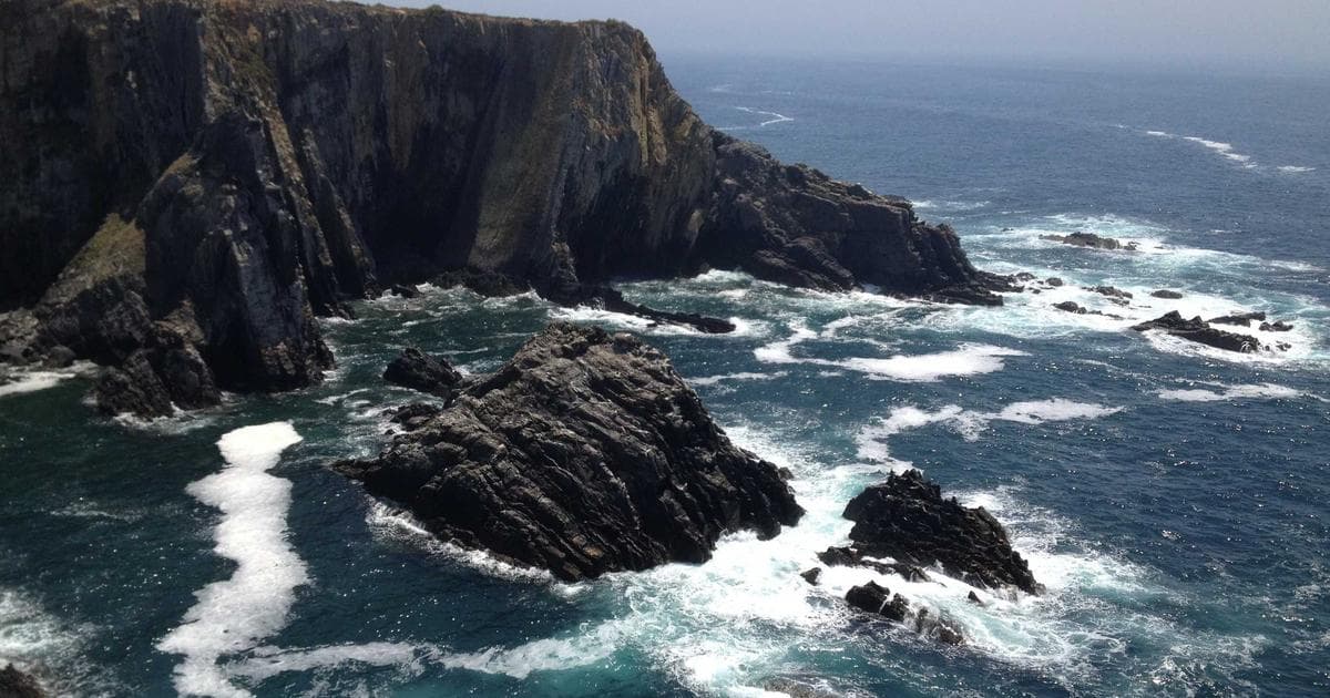 Netflix Taps Social Media Star Haley Baylee for New Reality Competition Win The Mall